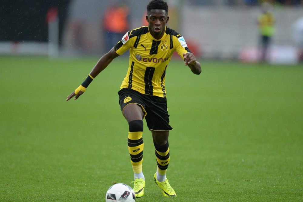 这一案例不 这一案例不